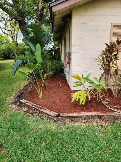 Overgrowth Removal
