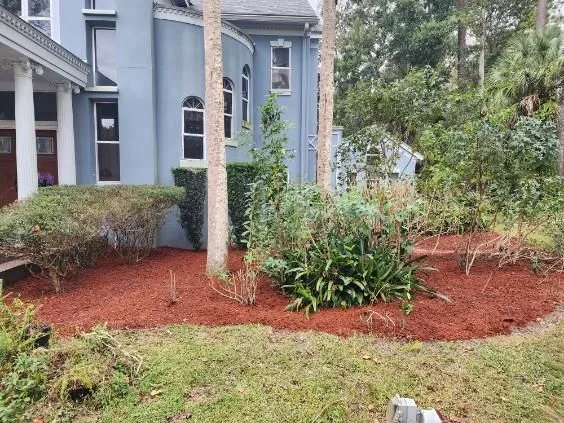Commercial Yard Cleanup