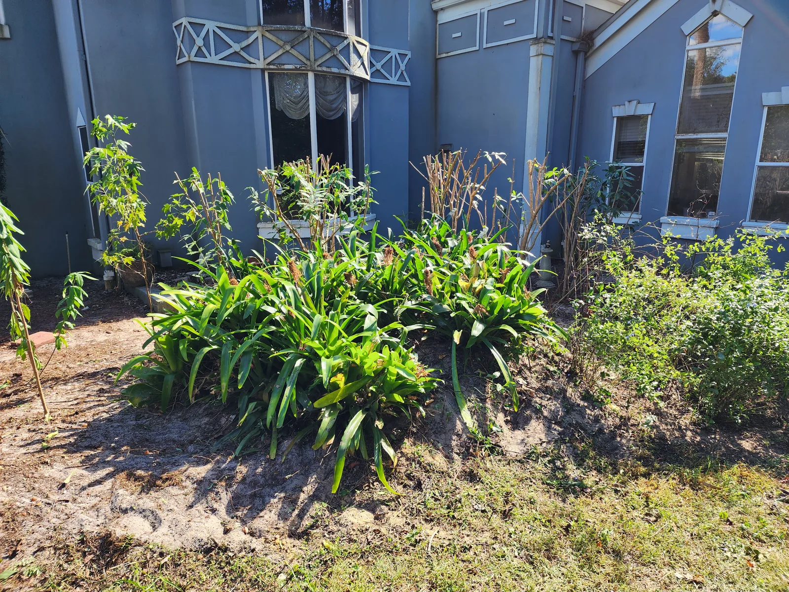 Property Refresh