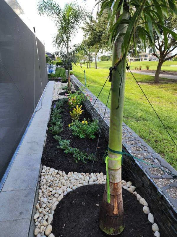 Side Yard Design