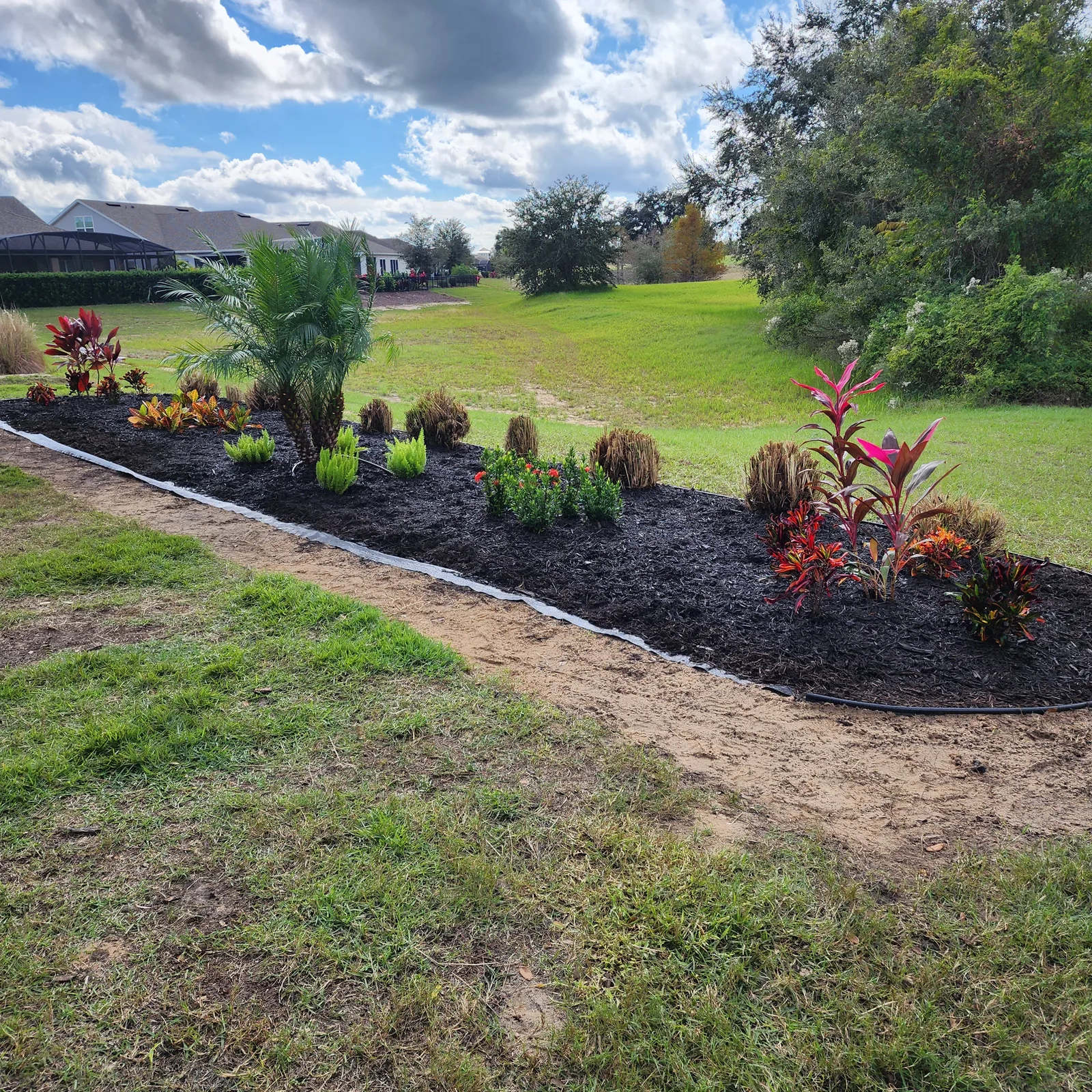 Designer Landscape