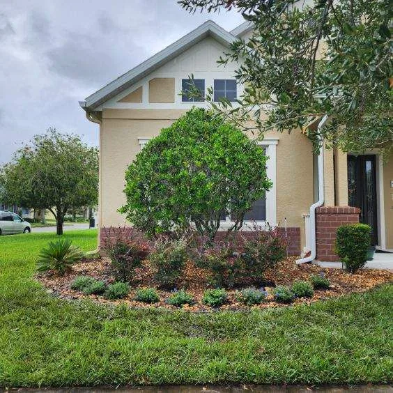 Full Property Landscaping
