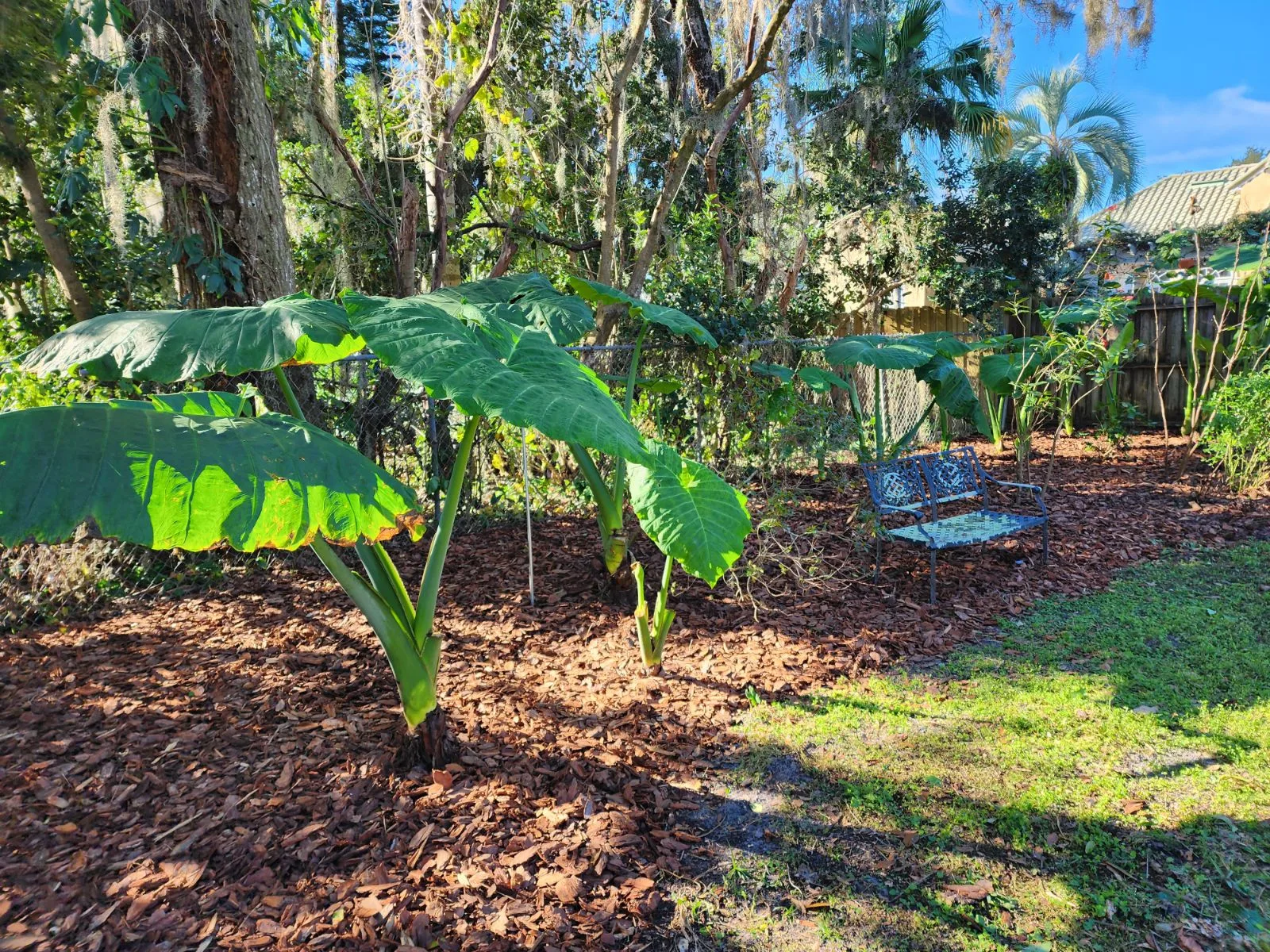 Mulch Pathway Design