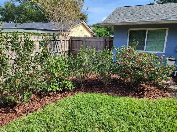 Black Mulch Feature