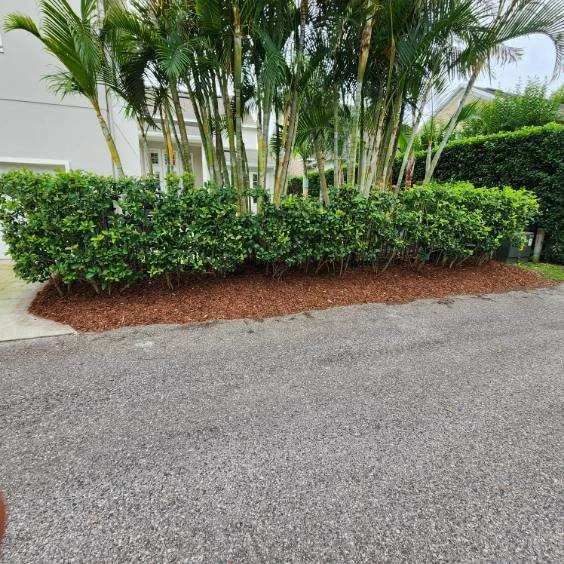 Red Mulch Design